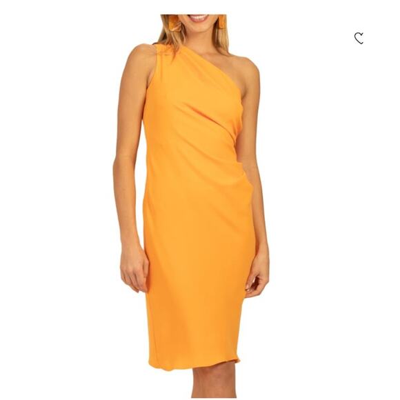 NWT Trina Turk Poem Asymmetric Knee Length Dress - Size 8 - Picture 1 of 9